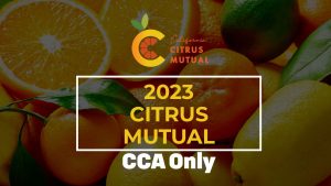2023 California Citrus Mutual – CCA Only | CCA 0.5 Hour | Duration 01:03:53